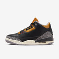 Air Jordan 3 Retro Black Cement Gold