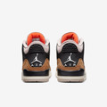Jordan 3 Retro Desert Elephant