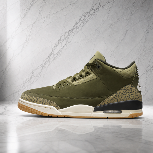 Air Jordan 3 Family Affair