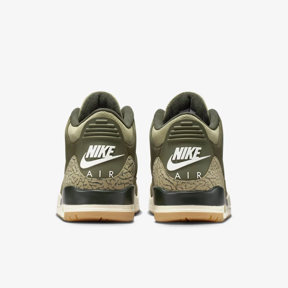 Air Jordan 3 Family Affair