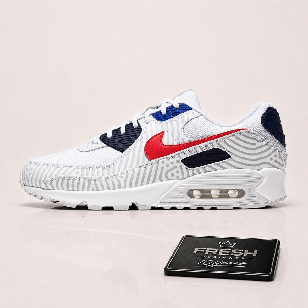 Air max 90 Euro tour(2020)