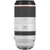 CANON RF 100-500MM F4.5-7.1 L IS USM