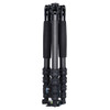 SIRUI T1205 CARBON FIBER TRIPOD W/K10II BALL HEAD