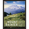 MOUNT RAINIER - NOTES & IMAGES FROM OUR ICONIC MOUNTAIN