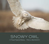 SNOWY OWL - A VISUAL NATURAL HISTORY