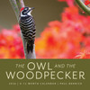 THE OWL AND THE WOODPECKER 2026 CALENDAR
