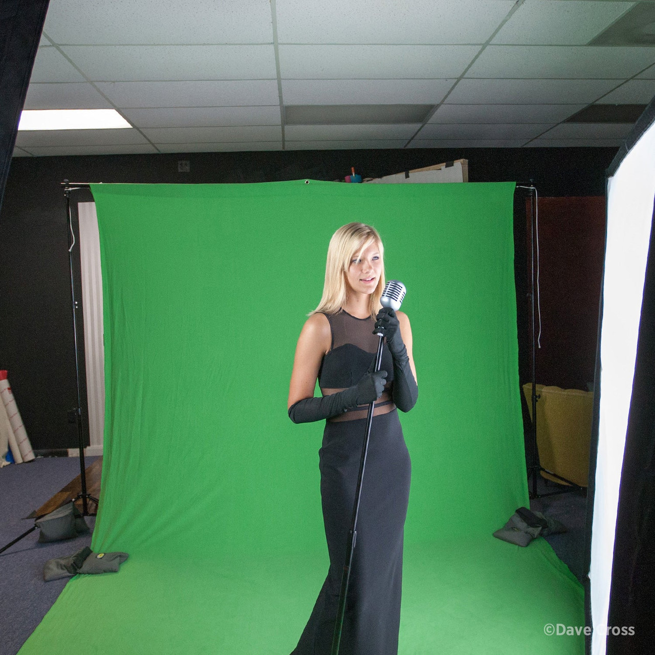 WESTCOTT CHROMA KEY GREEN SCREEN (9'X20')