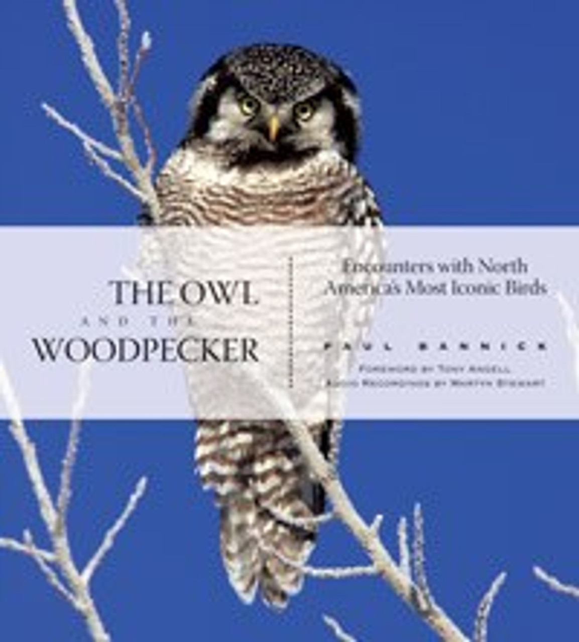 THE OWL AND THE WOODPECKER