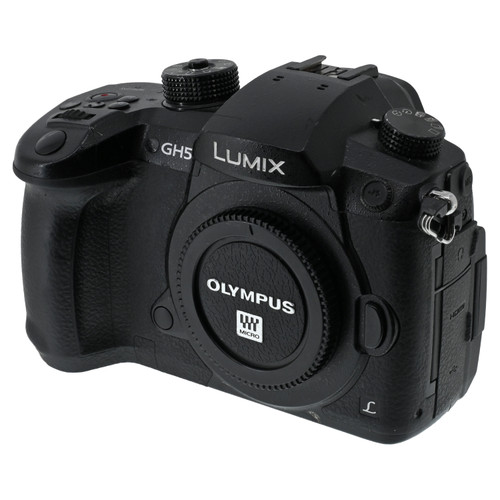 PANASONIC LUMIX FZ80D