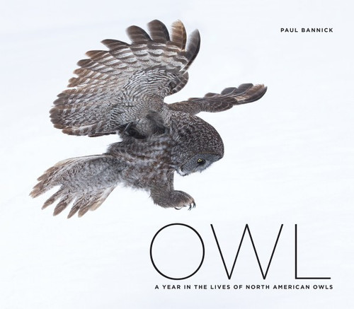 OWL: A YEAR IN THE LIVES OF NORTH AMERICAN OWLS