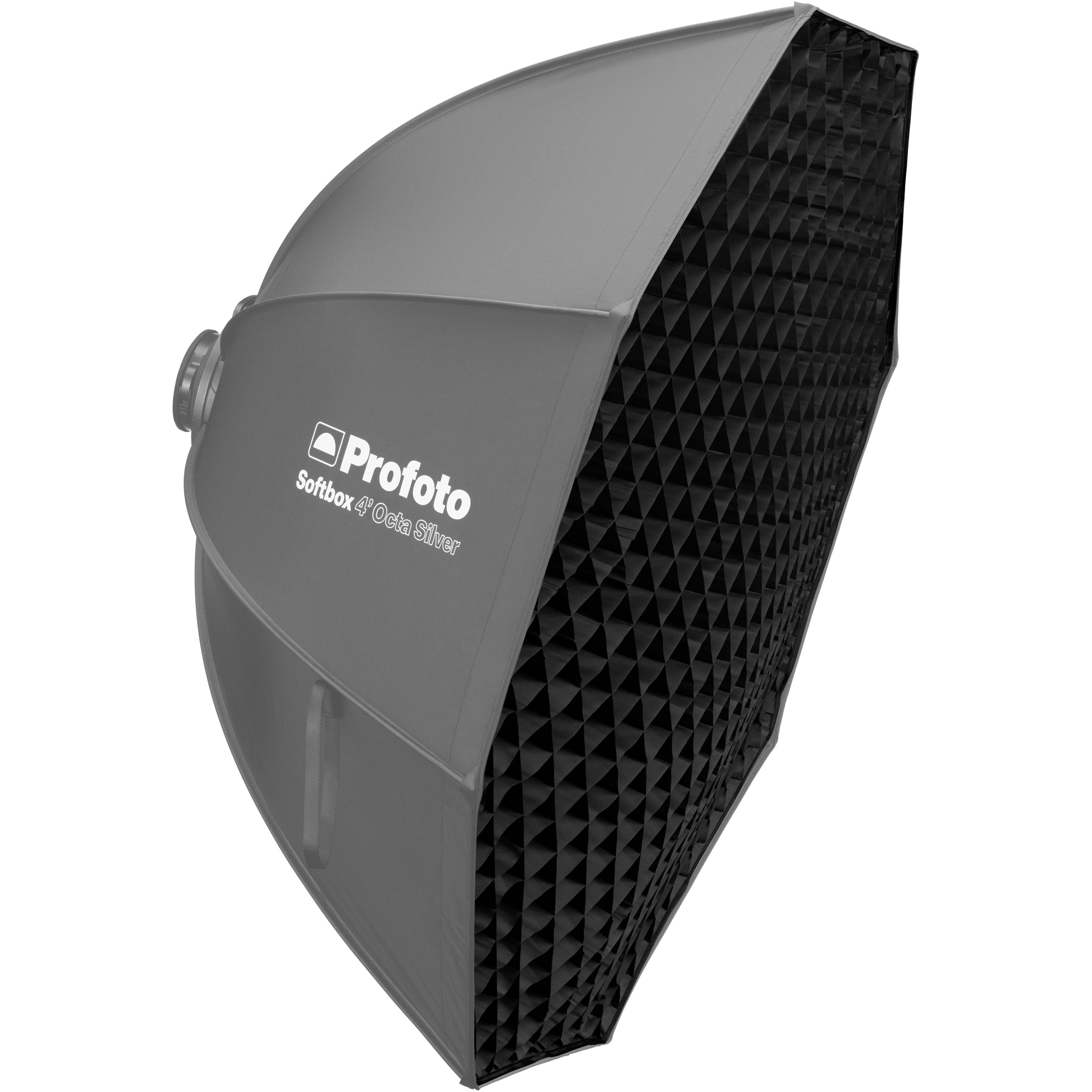 Softbox_4_Octa_Silver_45_grid_ Softbox_4_Octa_Silver_45_grid_