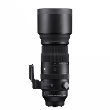 αEマウントSIGMA 150-600mm F5-6.3 DG DN OS PPhoto_150_600_5_63_dgdnos_s02