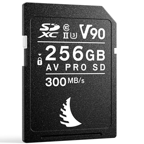 ANGELBIRD AV PRO SD MK2 V90 MEMORY CARD (256GB)