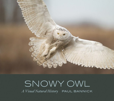 SNOWY OWL - A VISUAL NATURAL HISTORY