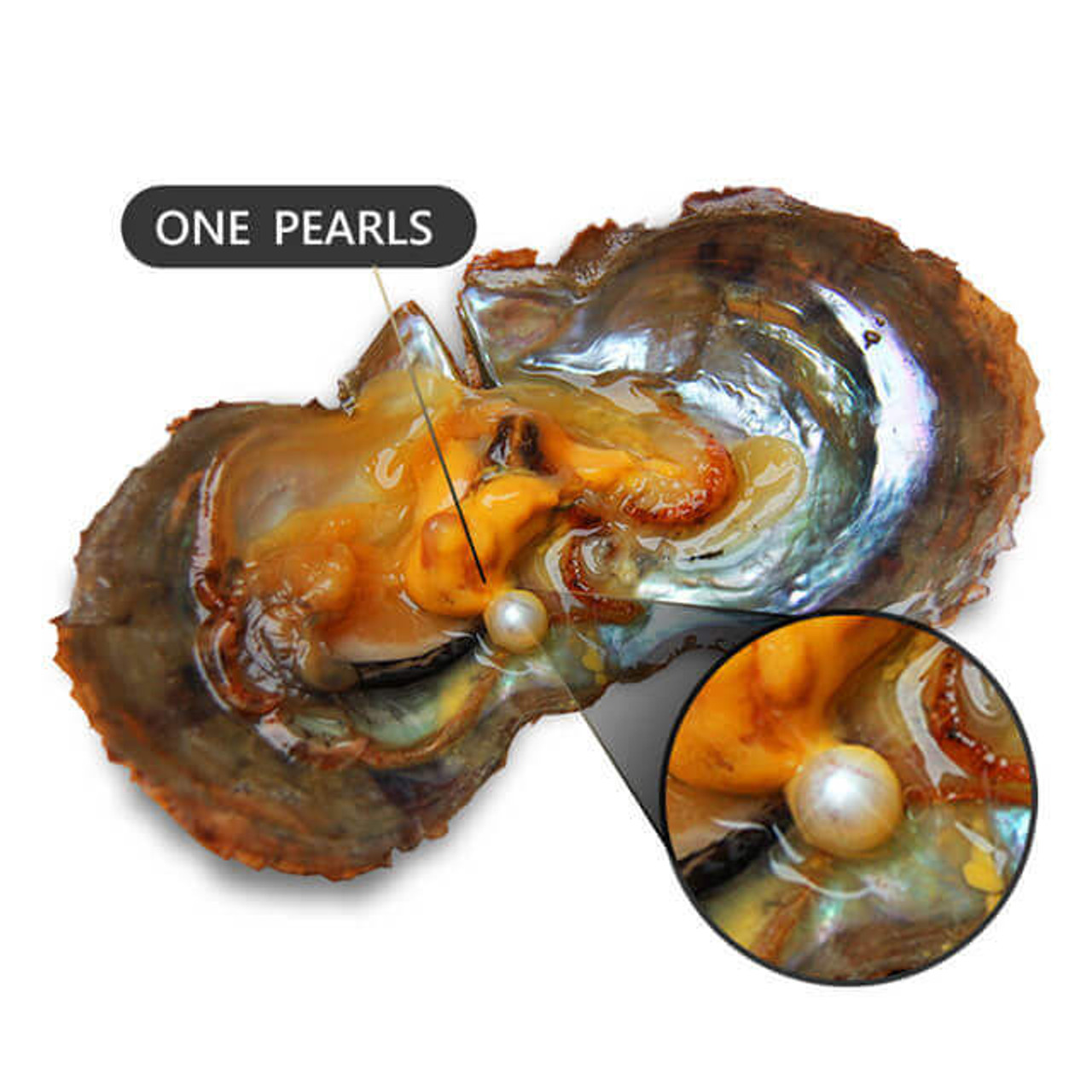BEST BRIGHTEST REAL PEARLS FOUND IN REAL OYSTERS 