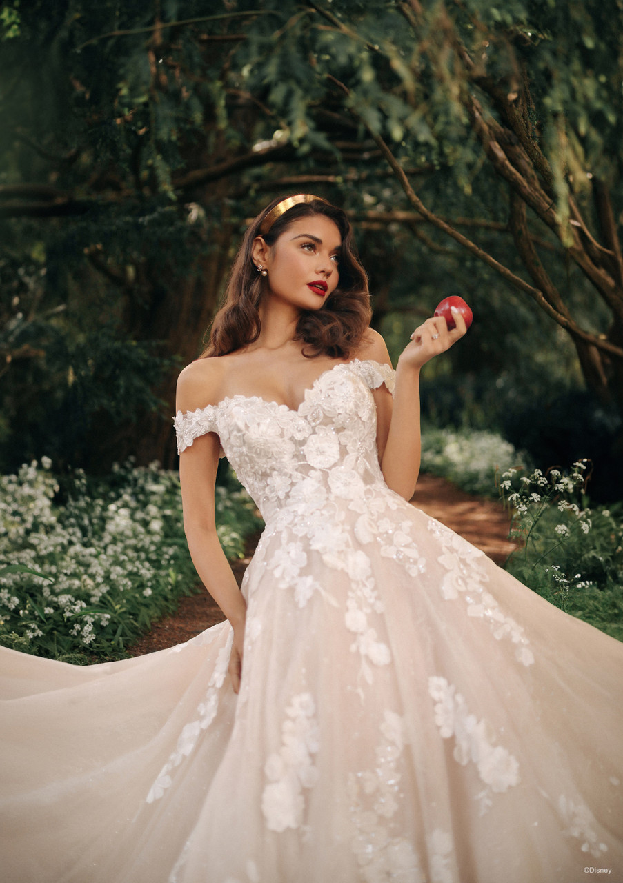 disney fairy tale wedding dresses Wedding Dresses & Gowns
