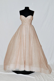 Lazaro Blush Wedding Dress