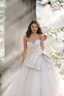 DISNEY FAIRY TALE WEDDINGS COL 0143808