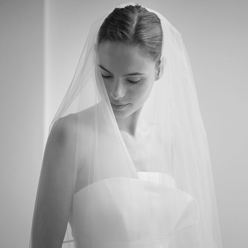 PETER LANGNER VEILS 0142826
