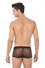 Gregg Homme Erupt Boxer Brief | Black | 140005-BL  - Mens Boxer Briefs - Rear View - Topdrawers Underwear for Men
