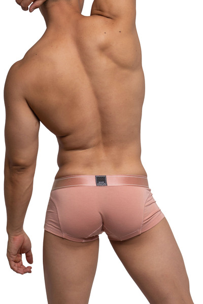Private Structure Platinum Bamboo Trunk PBUX4073-PBG Peach Beige - Mens Boxer Briefs - Rear View - Topdrawers Underwear for Men

