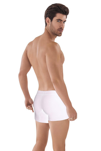 Clever Caribbean Trunk | White | 0882-01  - Mens Boxer Briefs - Rear View - Topdrawers Underwear for Men
