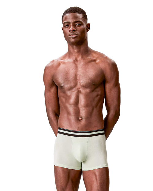 Calvin Klein 3-Pack Icon Active Mesh Trunk Black Fungi Seafoam Wave NB4536G-U2G | Front View | Mens Boxer Briefs | Topdrawers Underwear for Men