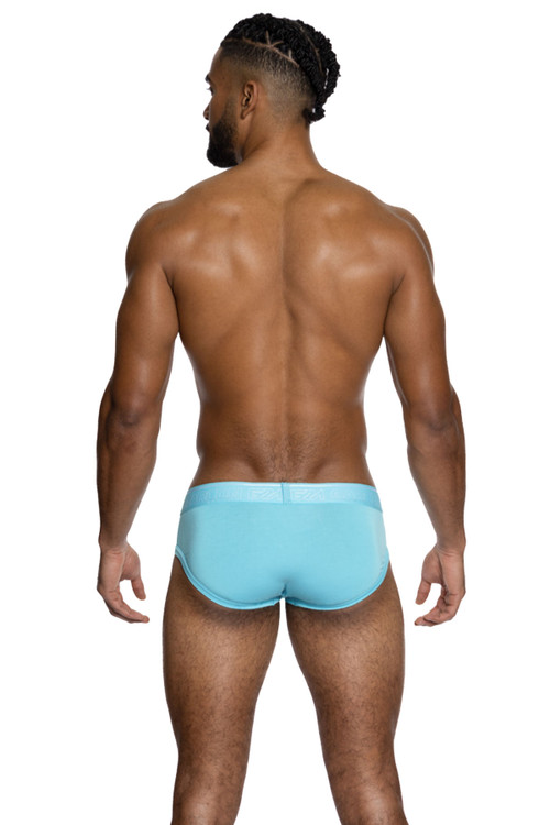 Garçon Model Baby Blue Bamboo Briefs GM22-BLUE-BRIEF - Mens Briefs - Rear View - Topdrawers Underwear for Men
