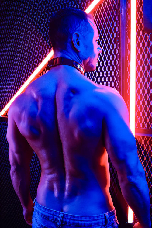 Breedwell Poundtown Collar | Red | 2204-COLLAR  - Mens Fetish GLOW Collar Harness - Rear View - Topdrawers Underwear for Men
