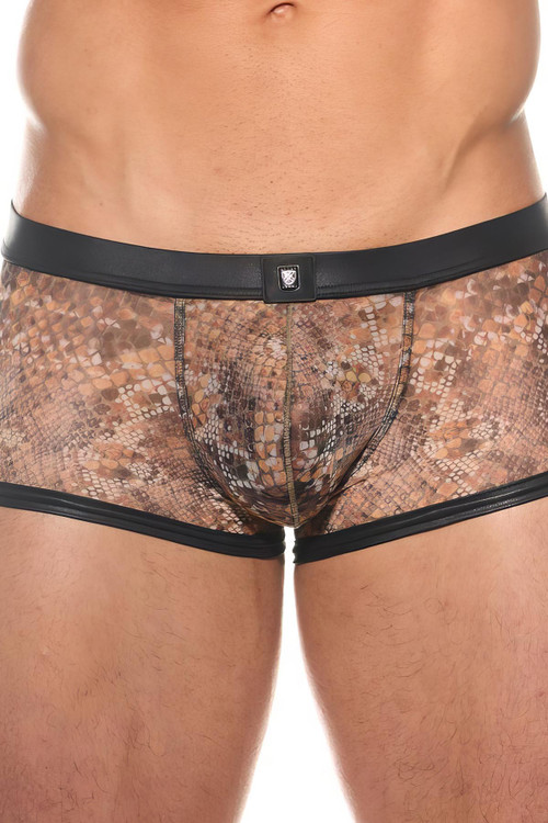 Gregg Homme Cobra Boxer Brief | 201005  - Mens Boxer Briefs - Front View - Topdrawers Underwear for Men
