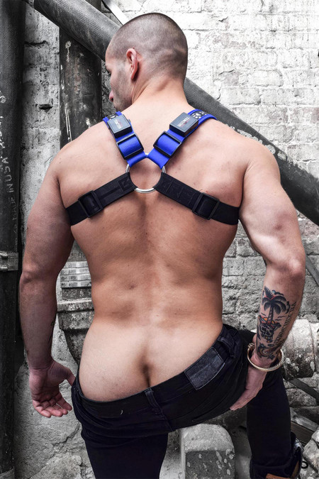 Breedwell Poundtown Bulldog Harness | Blue | 2201-BDHARNESS  - Mens Fetish GLOW Harnesses - Rear View - Topdrawers Underwear for Men
