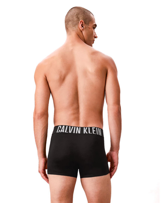 Calvin Klein 3-Pack Intense Power Microfiber Low Rise Trunk Black Grey Sky White NB3611G-549 | Rear View | Mens Boxer Briefs | Topdrawers Underwear for Men
