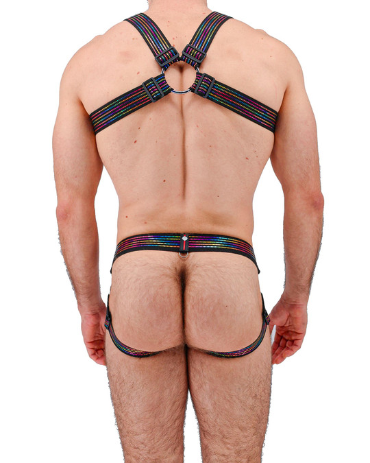 Breedwell Icon Pride Body Harness 2605-BDHARNESS | Rear View | Mens Fetish Elastic Harnesses | Topdrawers Underwear for Men