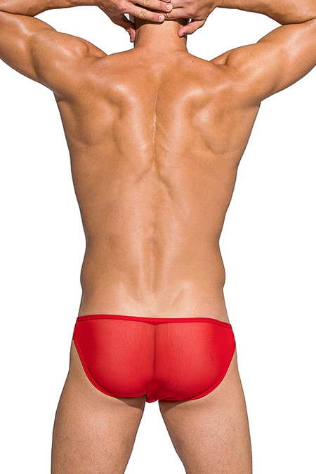 Private Structure Desire Intima Mesh Low Rise Bikini DIAMU3455BT - RD Red - Mens Sheer Bikini Briefs - Rear View - Topdrawers Underwear for Men