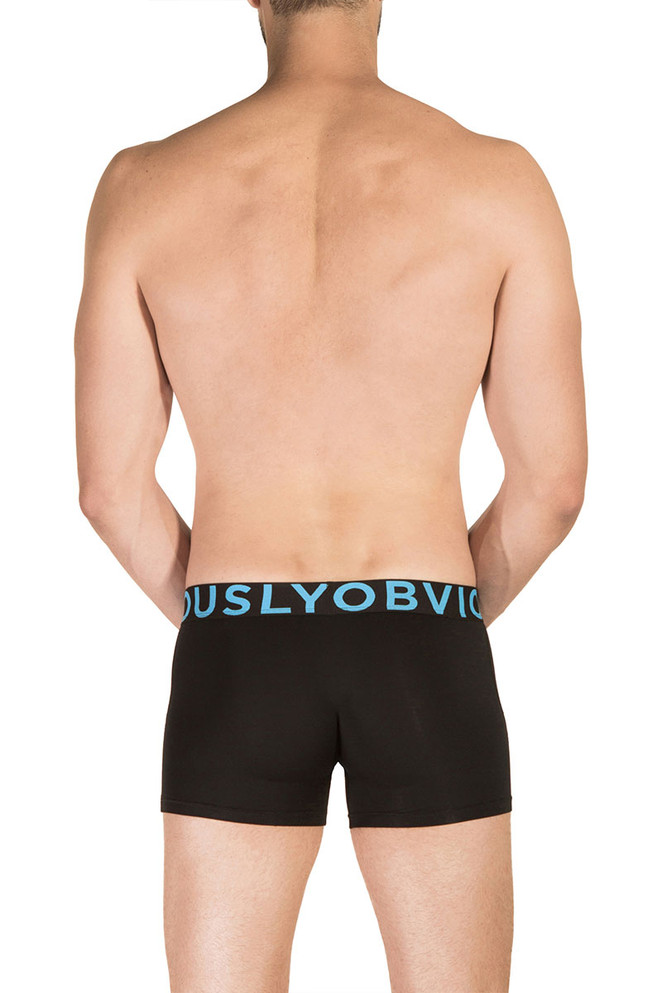 Obviously EveryMan Boxer Brief 3 Inch Leg B00-1A Black  - Mens Boxer Briefs - Rear View - Topdrawers Underwear for Men
