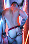 Breedwell Daddy's Favorite Jock | Red 2408-JOCK | Rear View | Mens Jockstraps | Topdrawers Underwear for Men
