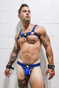 Breedwell Daddy's Favorite Bulldog Harness | Blue 2408-BULLDOG | Front View | Mens Fetish Elastic Harnesses | Topdrawers Underwear for Men