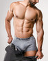 PUMP! Gray Classic Boxer 11116 | Front View | Mens Boxer Briefs | Topdrawers Underwear for Men
