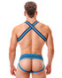 Barcode Berlin Colin Harness Blue Black 91853 | Rear View | Mens Fetish Elastic Harnesses | Topdrawers Underwear for Men