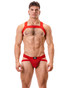 Barcode Berlin Anton Jock Red 80574 | Front View | Mens Jockstraps | Topdrawers Underwear for Men