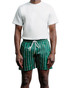 Champlain Day Shorts Striped Green CHP-012-SS26002-02 | Front View | Mens Shorts | Topdrawers Clothing for Men