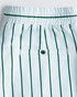 Champlain Day Shorts Striped White Green CHP-012-SS26010-04 | Front View | Mens Shorts | Topdrawers Clothing for Men