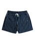 Champlain Day Shorts Striped Navy CHP-012-SS26008-01 | Front View | Mens Shorts | Topdrawers Clothing for Men