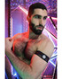 Breedwell Icon Pride Armbands 2605-ARM | Rear View | Mens Fetish Harnesses | Topdrawers Underwear for Men