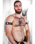 Breedwell Icon Pride Armbands 2605-ARM | Front View | Mens Fetish Harnesses | Topdrawers Underwear for Men