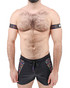 Breedwell Icon Pride Armbands 2605-ARM | Front View | Mens Fetish Harnesses | Topdrawers Underwear for Men
