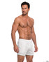 Spicy & Shiny Sports Mesh Shorts White ZS116 | Side View | Mens Athletic Shorts | Topdrawers Clothing for Men