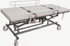 Can-Dan Mobile Electric Height Adjustable Change Table