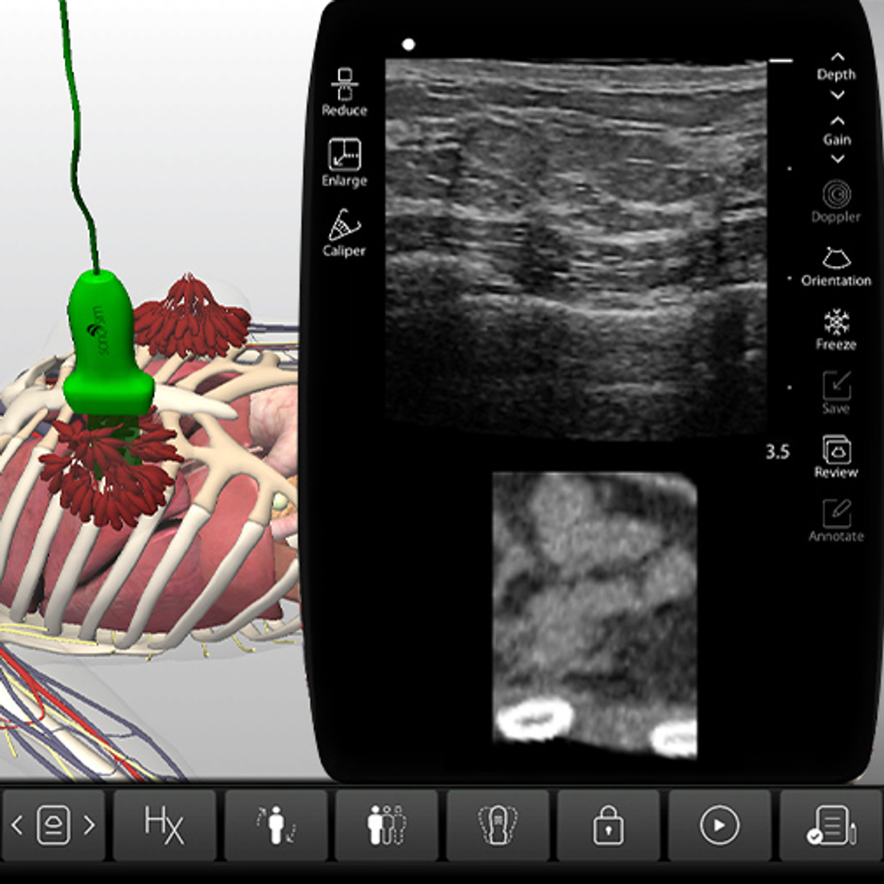 Breast　Anatomy　Physiology　Ultrasound　CME　Training　Breast