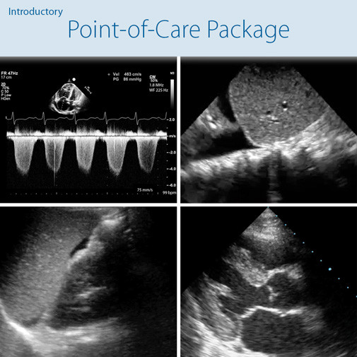 Point-of-Care Ultrasound - POCUS Training